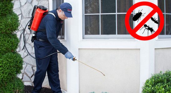 Köprüköy Hamam Böceği İlaçlama böcek ilaçlama ve haşere kontrolü — ilaclama-tr.com